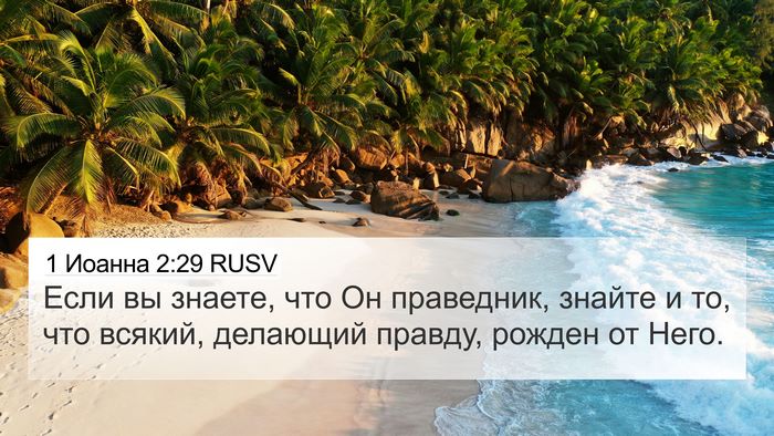 1 Иоанна 2:29 RUSV Bible Verse Image
