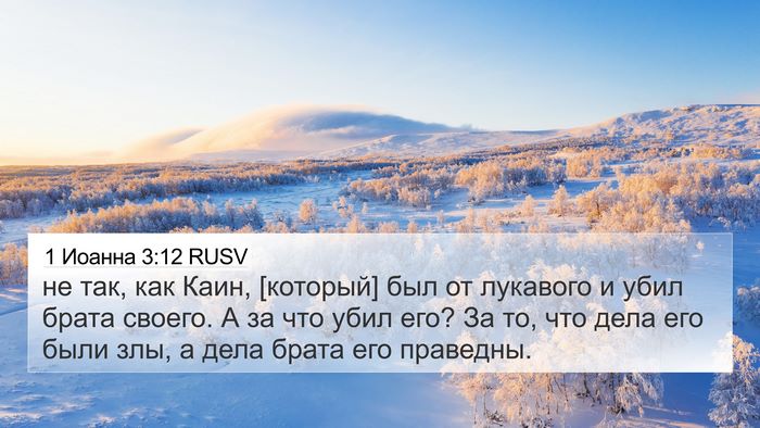 1 Иоанна 3:12 RUSV Bible Verse Image