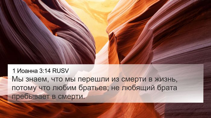 1 Иоанна 3:14 RUSV Bible Verse Image