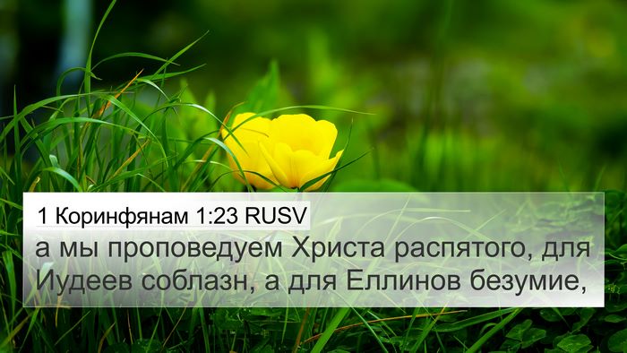 1 Коринфянам 1:23 RUSV Bible Verse Image