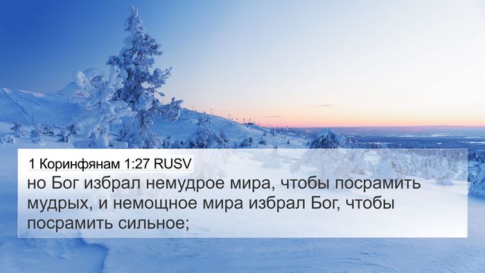 1 Коринфянам 1:27 RUSV Bible Verse Image