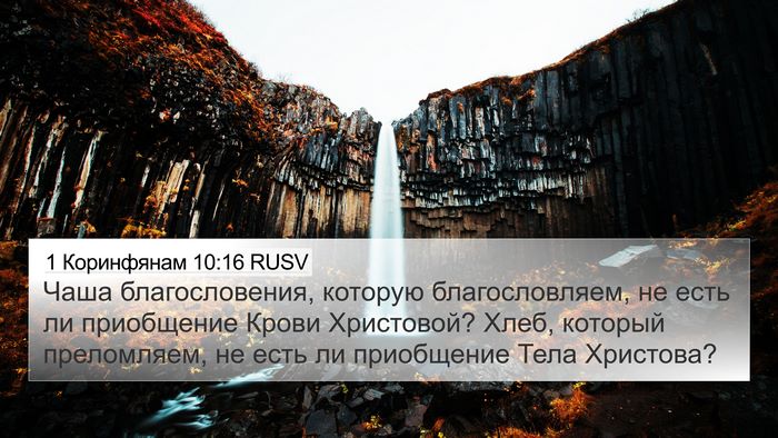 1 Коринфянам 10:16 RUSV Bible Verse Image