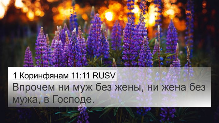 1 Коринфянам 11:11 RUSV Bible Verse Image