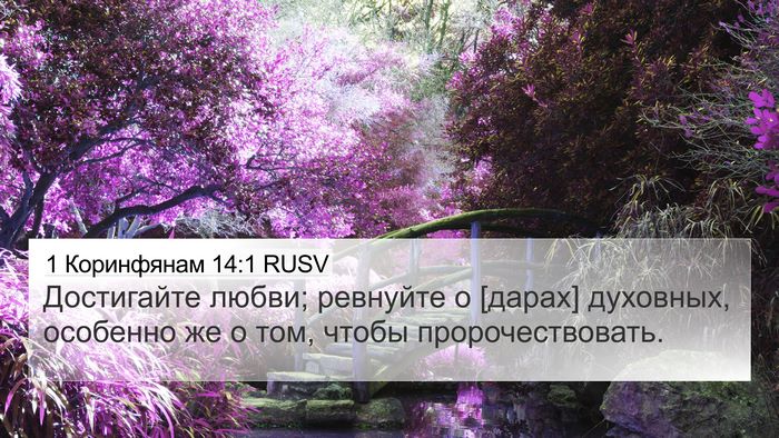 1 Коринфянам 14:1 RUSV Bible Verse Image