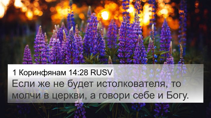1 Коринфянам 14:28 RUSV 4K Wallpaper - Если же не будет - 4K Wallpaper Bible Verse