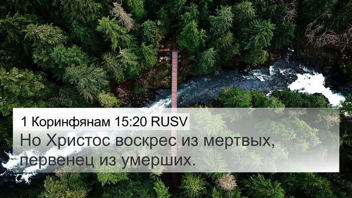 1 Коринфянам 15:20 RUSV Bible Verse Image