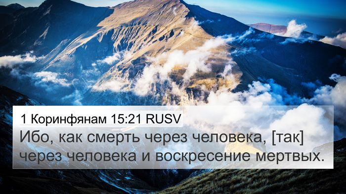 1 Коринфянам 15:21 RUSV Bible Verse Image