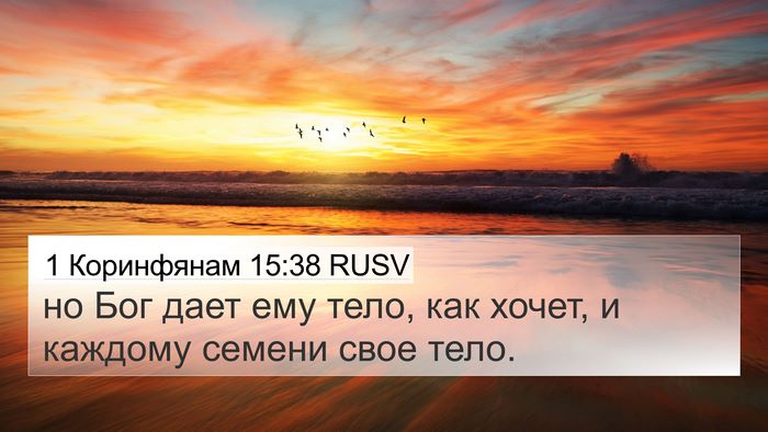 1 Коринфянам 15:38 RUSV Bible Verse Image