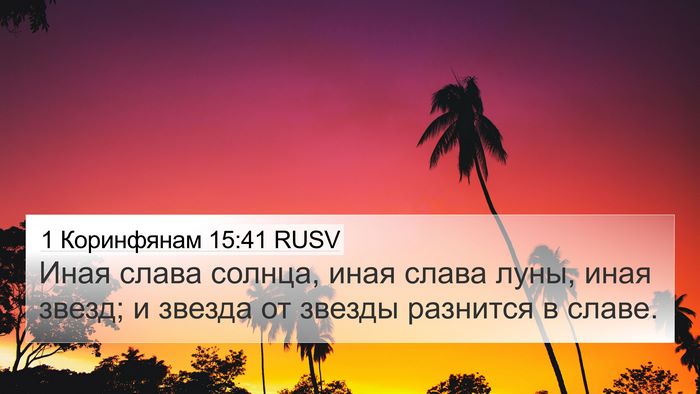 1 Коринфянам 15:41 RUSV Bible Verse Image