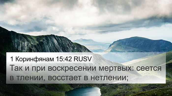 1 Коринфянам 15:42 RUSV Bible Verse Image