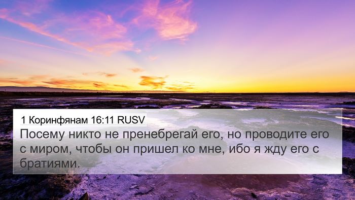 1 Коринфянам 16:11 RUSV Bible Verse Image