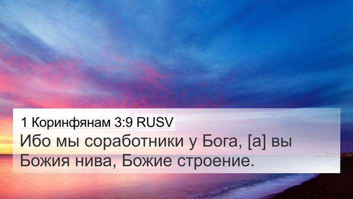 1 Коринфянам 3:9 RUSV Bible Verse Image