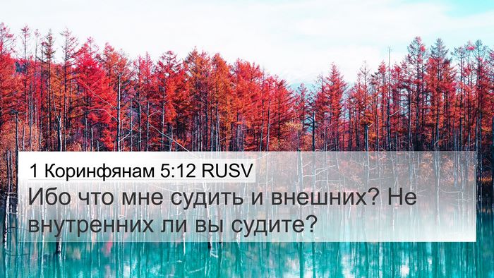 1 Коринфянам 5:12 RUSV Bible Verse Image