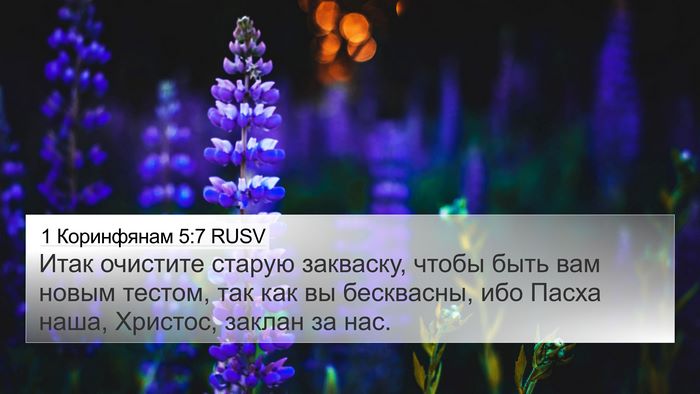 1 Коринфянам 5:7 RUSV Bible Verse Image