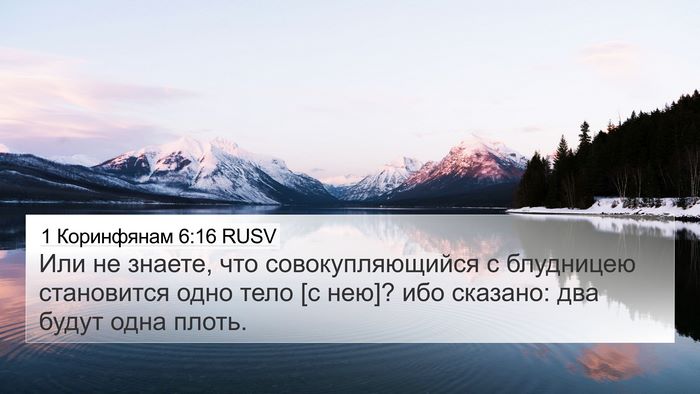 1 Коринфянам 6:16 RUSV Bible Verse Image