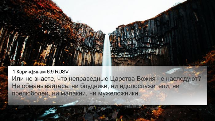 1 Коринфянам 6:9 RUSV Bible Verse Image