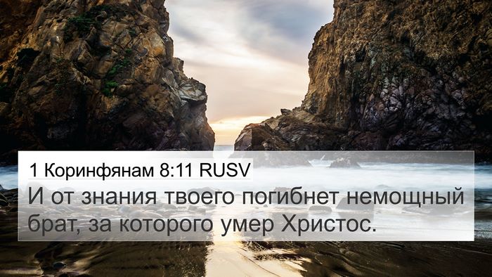 1 Коринфянам 8:11 RUSV Bible Verse Image