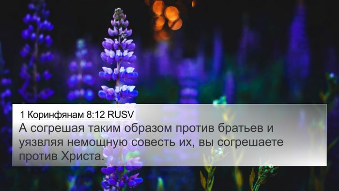 1 Коринфянам 8:12 RUSV Bible Verse Image