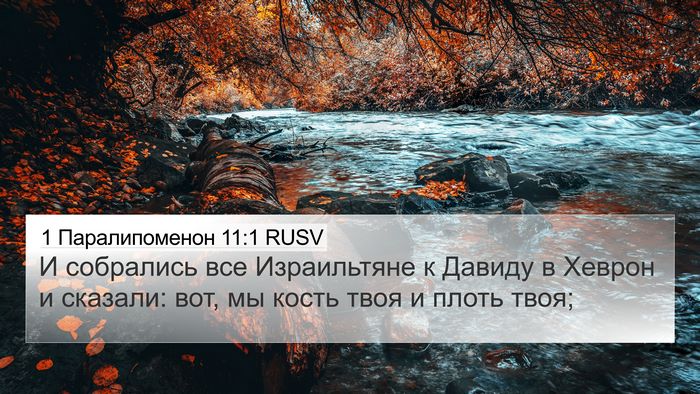 1 Паралипоменон 11:1 RUSV Bible Verse Image