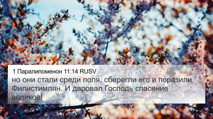 1 Паралипоменон 11:14 RUSV Bible Verse Image
