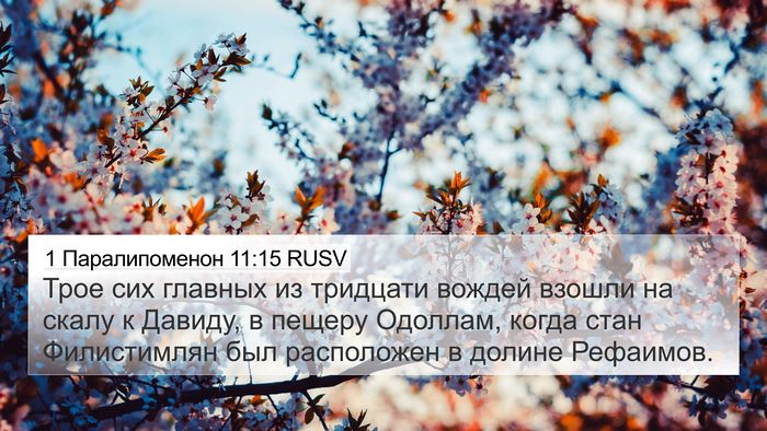 1 Паралипоменон 11:15 RUSV Bible Verse Image