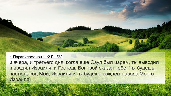 1 Паралипоменон 11:2 RUSV Bible Verse Image