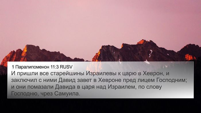 1 Паралипоменон 11:3 RUSV Bible Verse Image