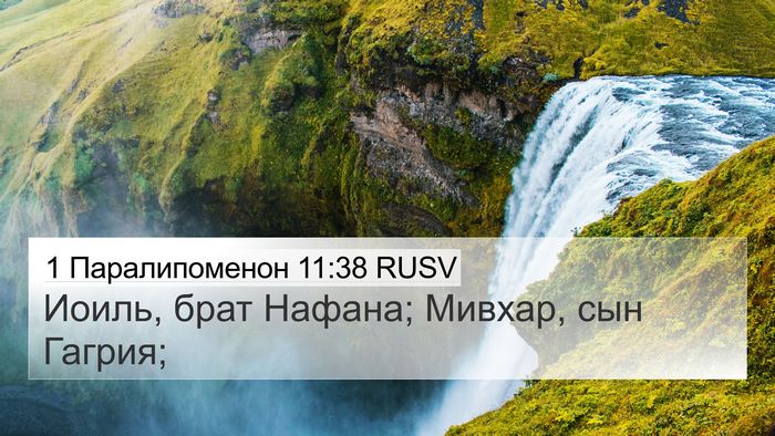 1 Паралипоменон 11:38 RUSV 4K Wallpaper - Иоиль, брат Нафана; Мивхар, - 4K Wallpaper Bible Verse