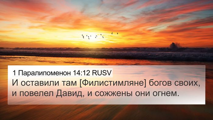 1 Паралипоменон 14:12 RUSV Bible Verse Image