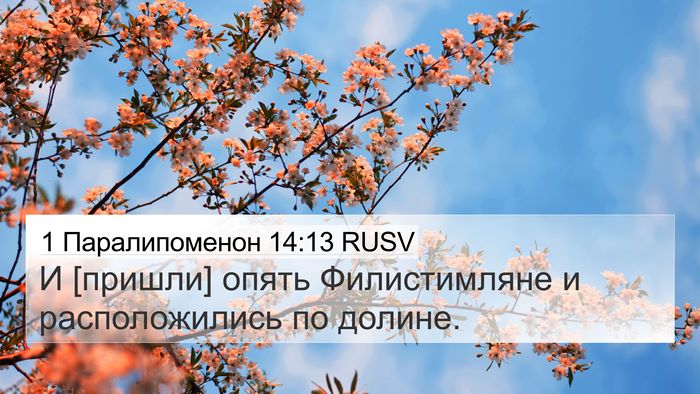 1 Паралипоменон 14:13 RUSV Bible Verse Image
