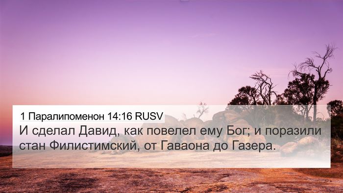 1 Паралипоменон 14:16 RUSV Bible Verse Image