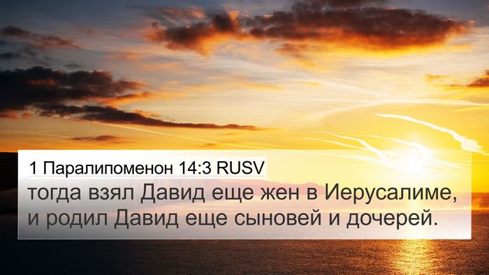 1 Паралипоменон 14:3 RUSV Bible Verse Image