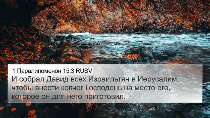 1 Паралипоменон 15:3 RUSV Bible Verse Image