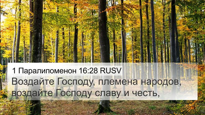 1 Паралипоменон 16:28 RUSV Bible Verse Image