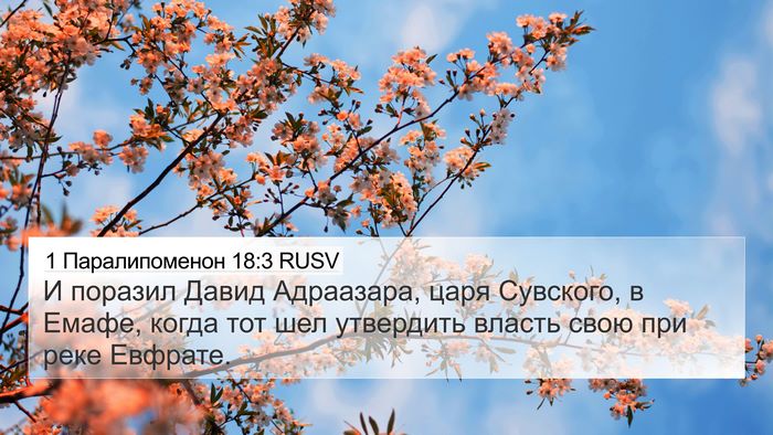 1 Паралипоменон 18:3 RUSV Bible Verse Image