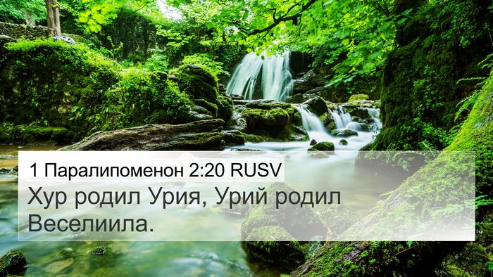1 Паралипоменон 2:20 RUSV 4K Wallpaper - Хур родил Урия, Урий родил - 4K Wallpaper Bible Verse