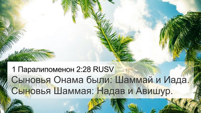 1 Паралипоменон 2:28 RUSV 4K Wallpaper - Сыновья Онама были: Шаммай - 4K Wallpaper Bible Verse
