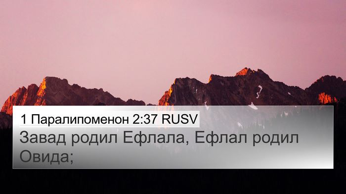 1 Паралипоменон 2:37 RUSV 4K Wallpaper - Завад родил Ефлала, Ефлал - 4K Wallpaper Bible Verse