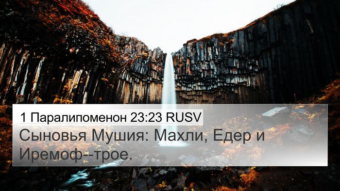 1 Паралипоменон 23:23 RUSV Bible Verse Image