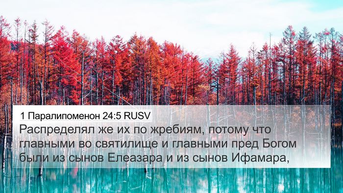 1 Паралипоменон 24:5 RUSV Bible Verse Image