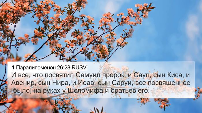 1 Паралипоменон 26:28 RUSV Bible Verse Image