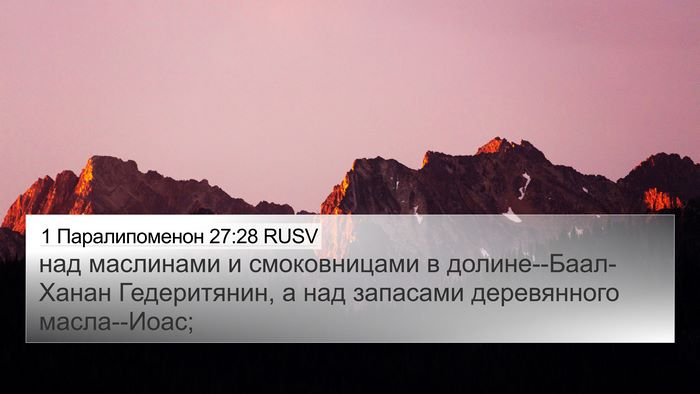 1 Паралипоменон 27:28 RUSV Bible Verse Image