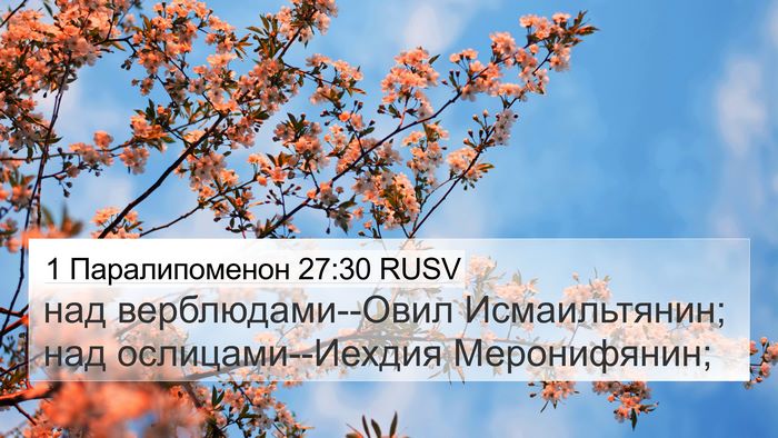 1 Паралипоменон 27:30 RUSV 4K Wallpaper - над верблюдами--Овил - 4K Wallpaper Bible Verse