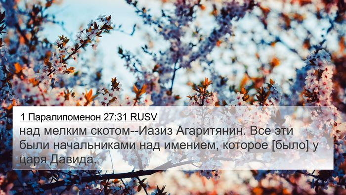 1 Паралипоменон 27:31 RUSV 4K Wallpaper - над мелким скотом--Иазиз - 4K Wallpaper Bible Verse