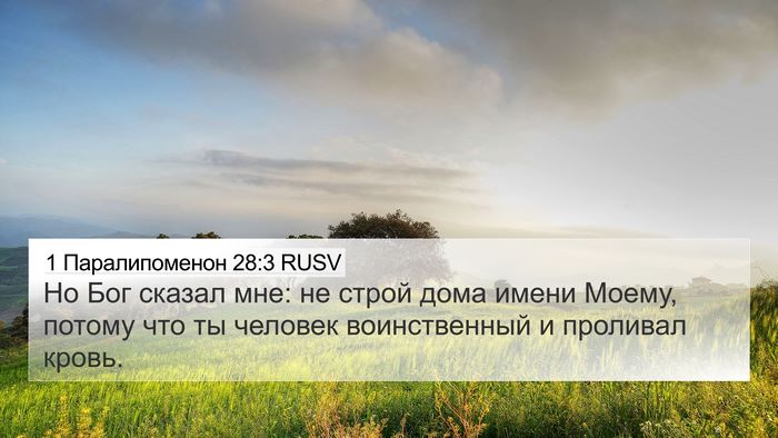 1 Паралипоменон 28:3 RUSV Bible Verse Image