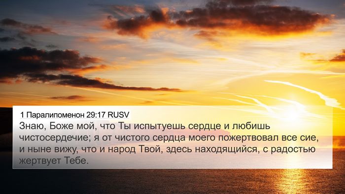 1 Паралипоменон 29:17 RUSV Bible Verse Image