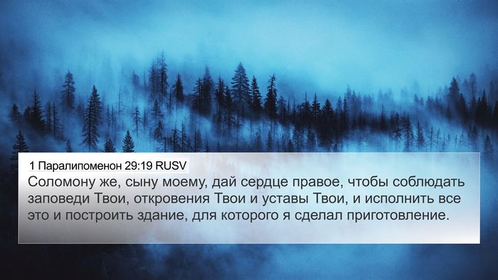 1 Паралипоменон 29:19 RUSV Bible Verse Image