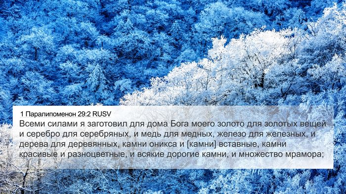 1 Паралипоменон 29:2 RUSV Bible Verse Image