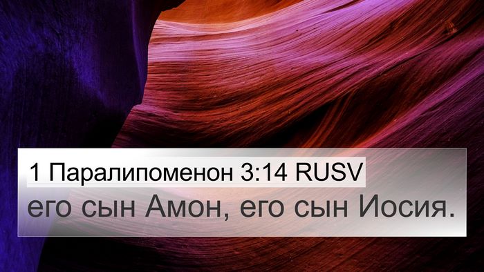 1 Паралипоменон 3:14 RUSV Bible Verse Image