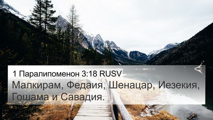 1 Паралипоменон 3:18 RUSV 4K Wallpaper - Малкирам, Федаия, Шенацар, - 4K Wallpaper Bible Verse
